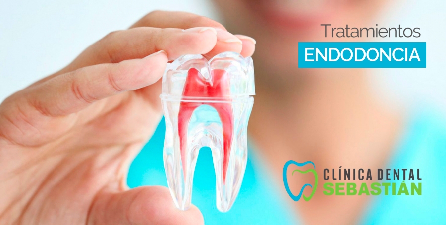 Endodoncia